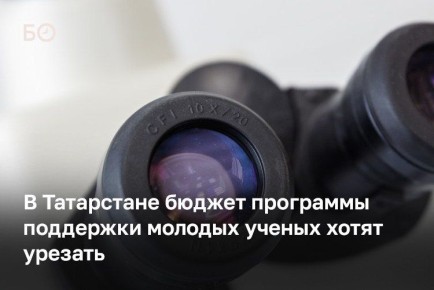Бюджет программы поддержки молодых ученых в Татарстане хотят урезать на 5,5 млн рублей — до 22 млн