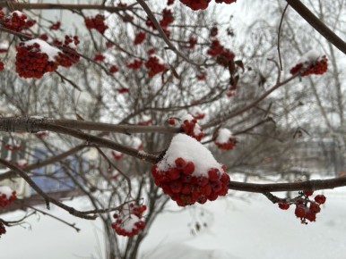 ������� ����� �� ���������, ���� -8, � ������ ���������� �� -12