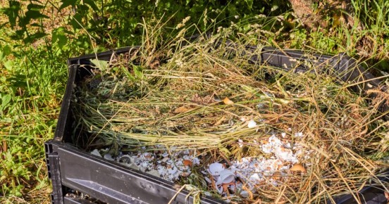 ���������� ��������: ������������ ������ �� ��������� �������������