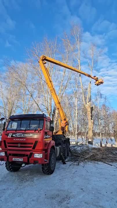 � ����������� ������������ ������ �� ����������� � ���������� ������� ��������