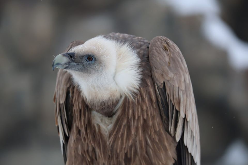 ����� ��������� ���������� ����� ����� �������� ���� ���������� ���� �����?