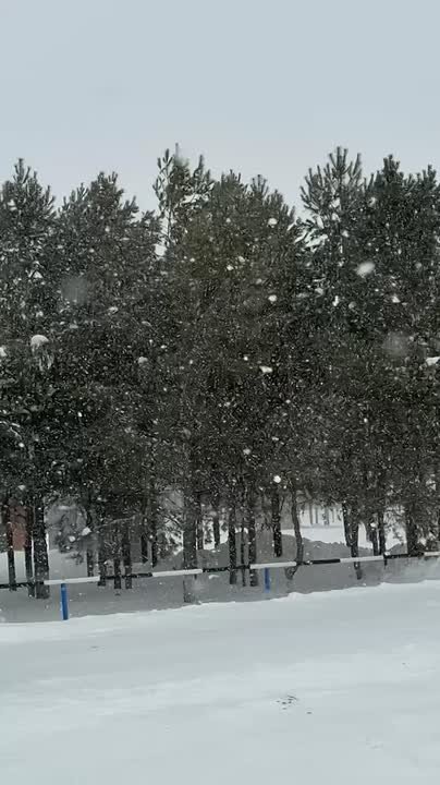 С момента открытия 30 декабря всесезонный курорт «Вятка» в Мамадыше посетили около 5 000 человек