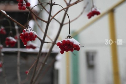 ������� ������ � ���������� �� �������, 16 ������: �������� ������ �� -27�