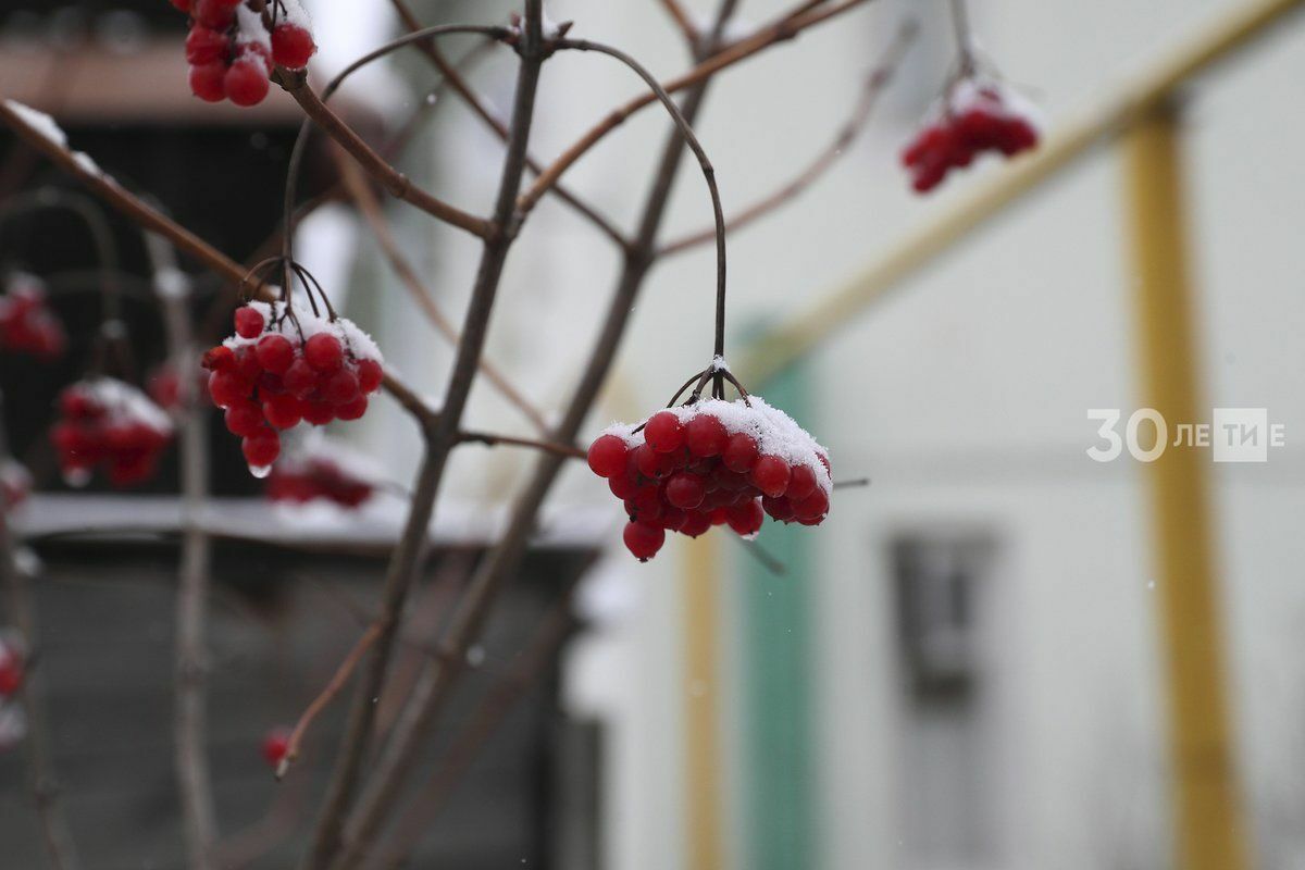 Прогноз погоды в Татарстане на пятницу, 16 января: усиление мороза до -27°