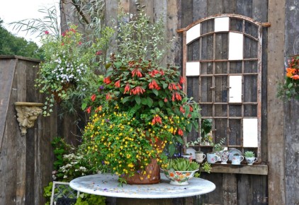 ���������� ���� ��� ����: �� ���������� ����� �� ������������ �������