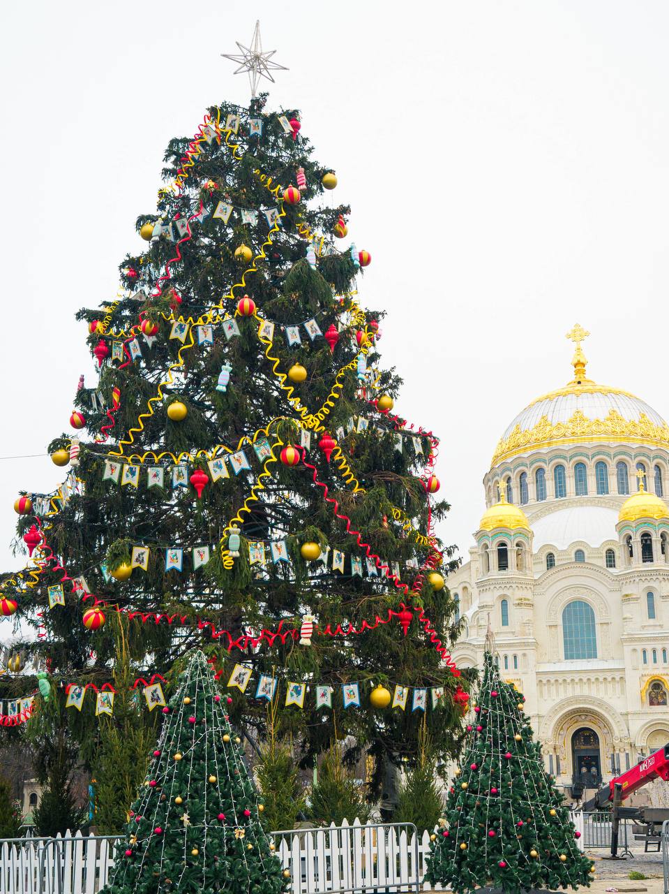 Стали известны результаты Всероссийского конкурса «Ёлки России» Стали известны результаты Всероссийского конкурса «Ёлки России»