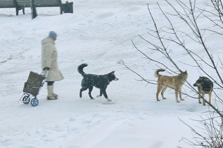 � �������������� ������ ������ ����� ������������ �� ��������� �����