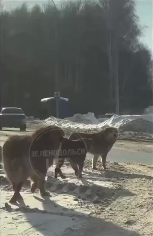 � �������������� ������ �������� ������ ������ �� ������� � ��������