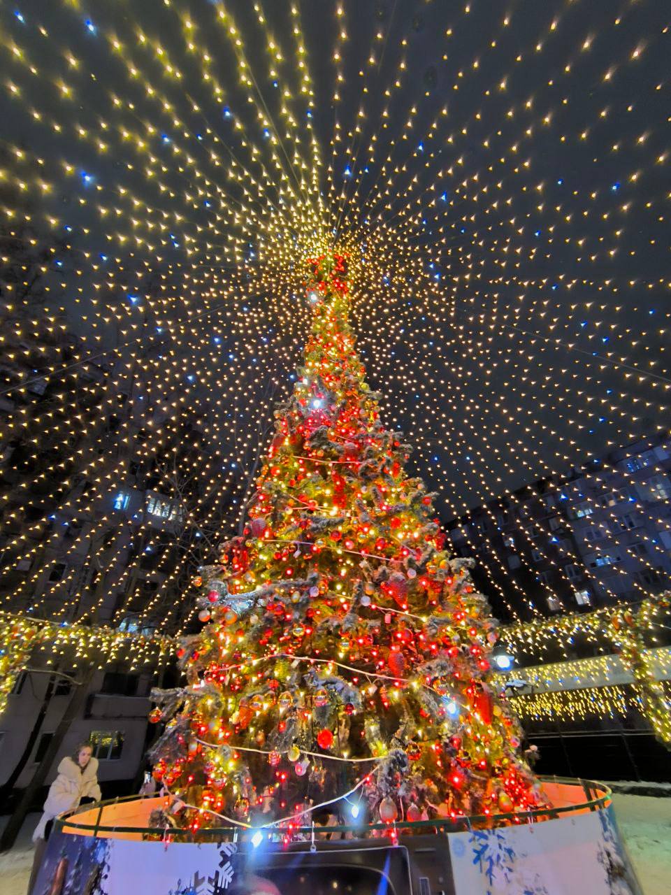 Стали известны результаты Всероссийского конкурса «Ёлки России» Стали известны результаты Всероссийского конкурса «Ёлки России»