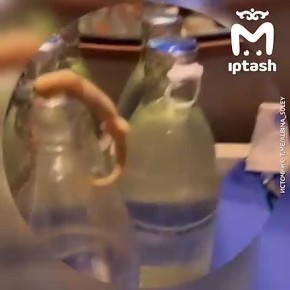 Жительница Казани чуть не проглотила ящерицу в Таиланде, пока пила воду, — та была прямо в бутылке