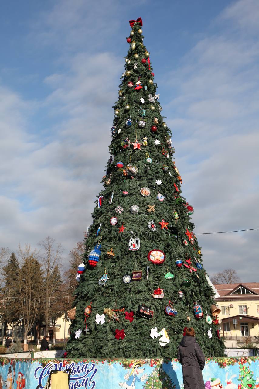 Стали известны результаты Всероссийского конкурса «Ёлки России» Стали известны результаты Всероссийского конкурса «Ёлки России»