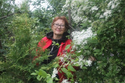 ������ ����������� ���������: ����� � ����� �� �������