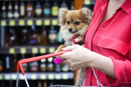 ������� ������� ���� ��� ����� ��������� ���