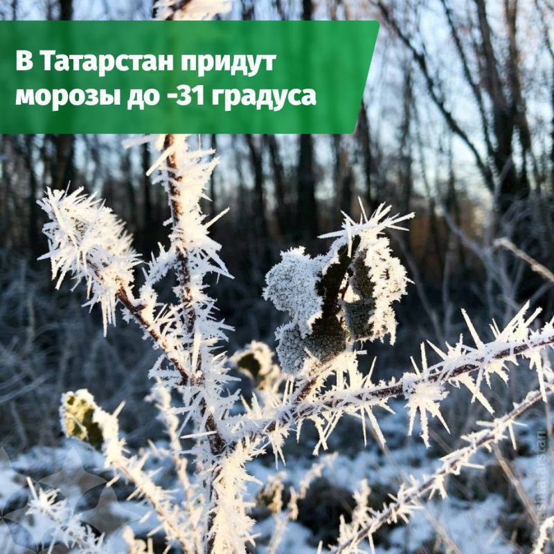 �� ���� �������� � ���������� ��������� ������� ������