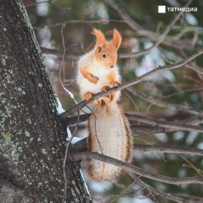 � ���������� �������� ������ �������� �������� � ����