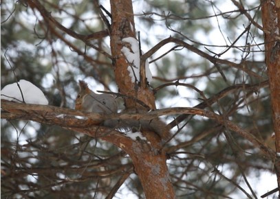 �� ����� -21 ������, � ������� ��� ��������� �� -16