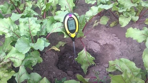 ��� ���������� ����������� �����: ������� � ����������� ������