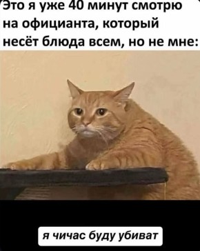 ��������� � ���������� ����� ������������ �� 120 000 ������ � �����