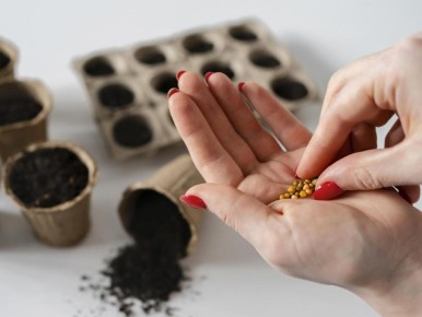 ����������� �������: ���������������� ������������ �����