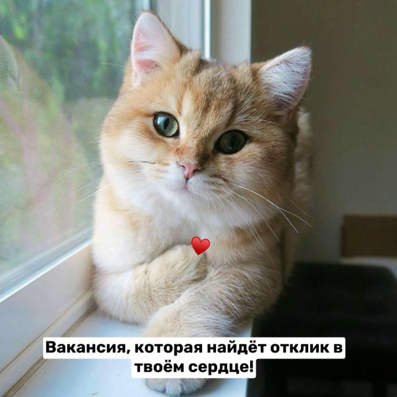 ��������������� � ����� ������� ���������� �������! ���� ������������ ��������� � �����-������!