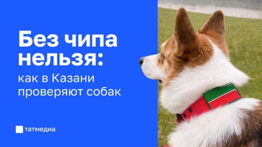 ������ ����� � ������ ��������� �� ����