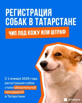 � ���������� ���������� ����� 62 000 �������� �����