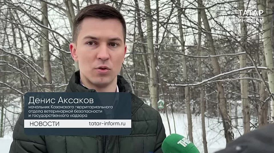 ��������� ���������� ������ ����� ����� ��������� ����� �� ���������� ���������� � ���������� �������� ��������