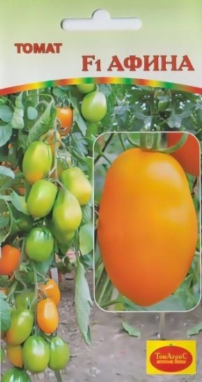 ������ �����: ���� � ��������� ������