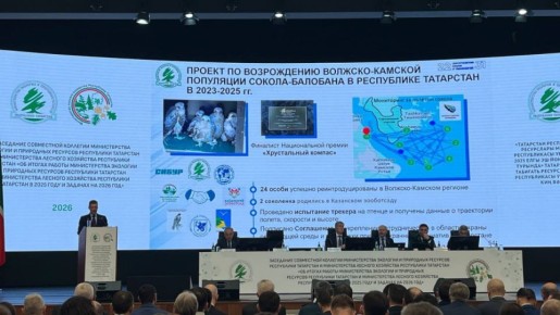 � ���� ���� � ������� ���������� �������� ������� �������������� ������-��������