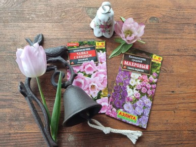 ������������ ��������: ��� ������������ ����� � ����