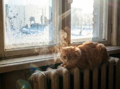 ���� ��� ������������: ���������� ������� ������ �� 35