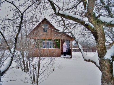 Как сохранять здоровье сада зимой: советы по уходу в январе