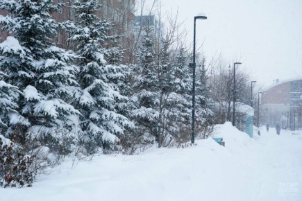 23 ������ � ���������� ��������� ��������� �������� ������