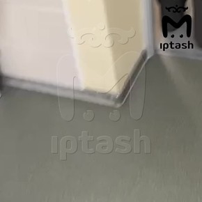 ��������, ����������� � ����� � ������������ �����, ������ � �������� � � ���� ����� ��� �� ����� �� ������