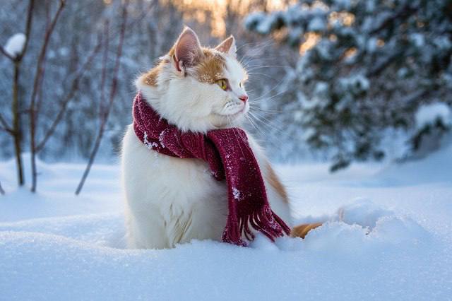 Морозное испытание: в Татарстане температура опускается до –33