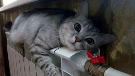 Эксперт по ЖКХ рассказал, куда жаловаться на холодные батареи