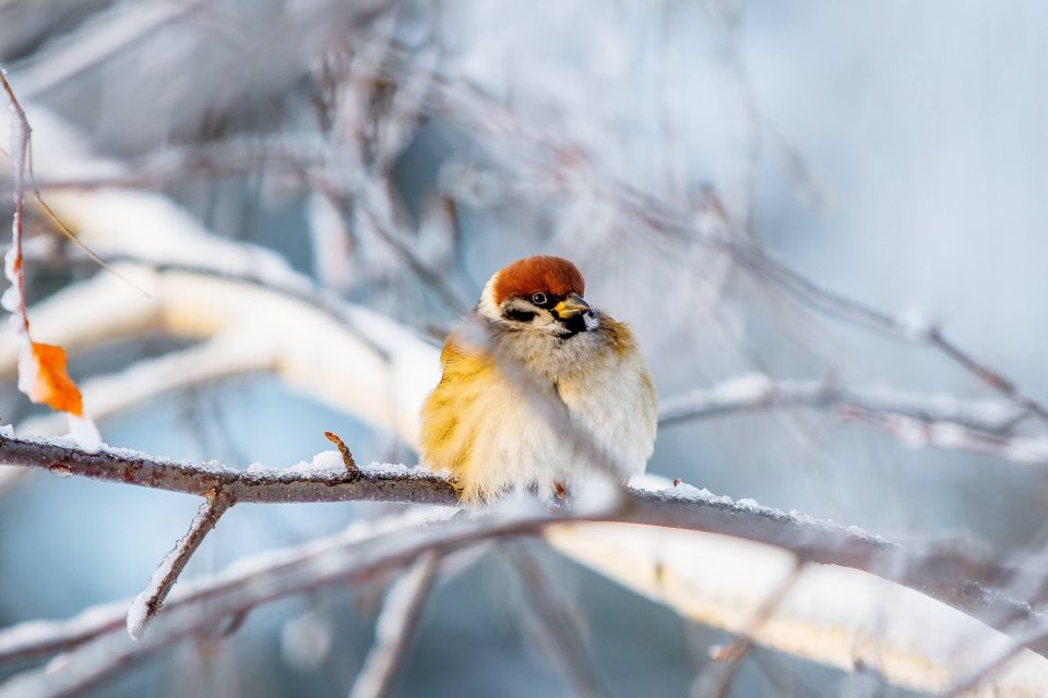 ��������� ������ ������ �� ������ ���������