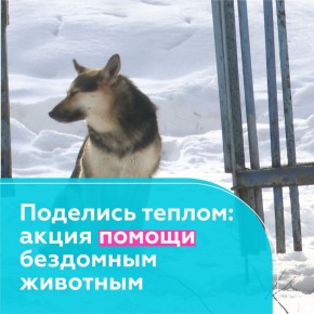 � ����������� ����������� ���� ����� � ������ ��� ��������� ��������