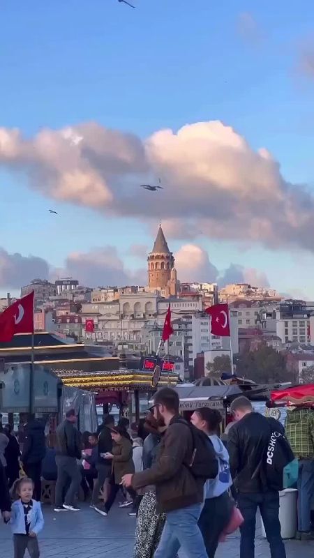 ���������� ������������ �������� ������ ����� �� ������ � �������