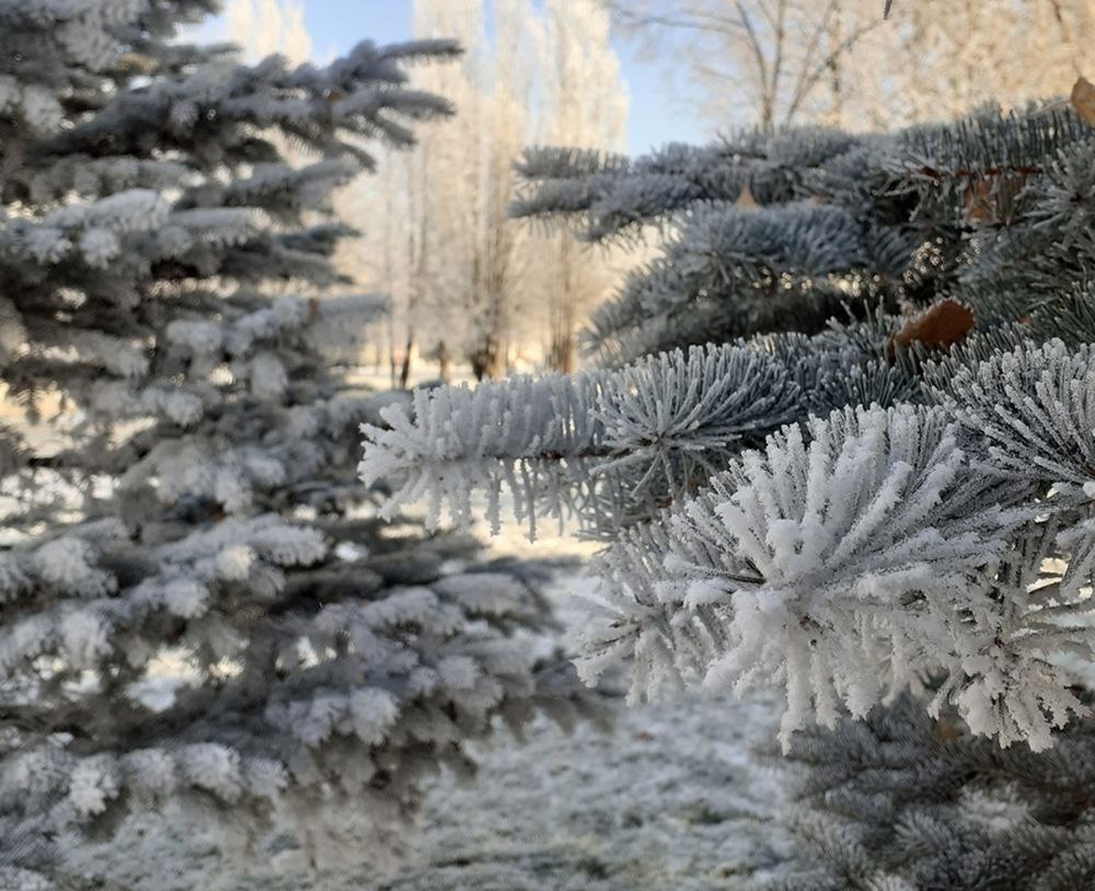 Морозы продолжаются: сегодня ожидается -23...-20 градусов, без осадков