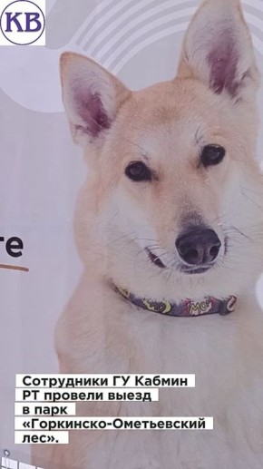 ���������� �������� ���������� ����������� �������� ��������� ���������� ��������� ������� ����� � ���� ����������-����������� ���