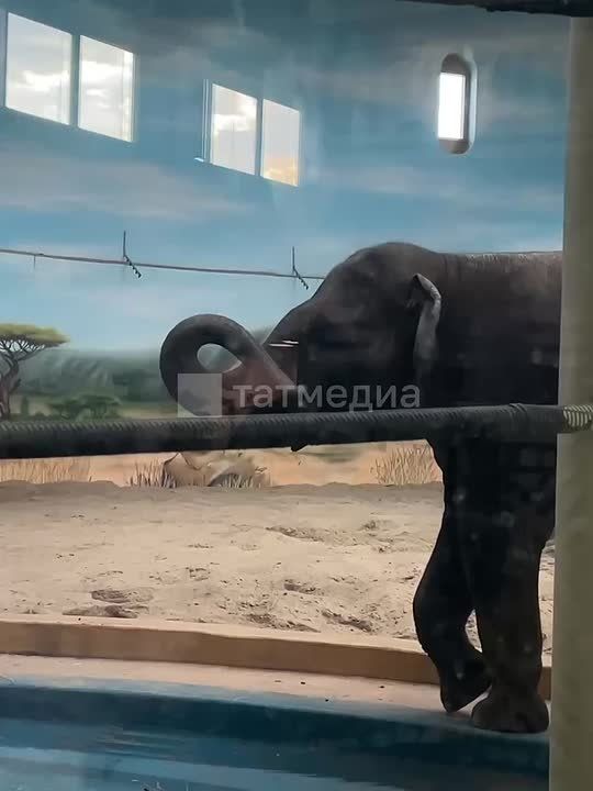 � ���� �������� ���� � ������� ������ ����� ����������