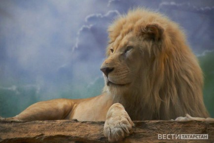 ������� �������� � ������� ����� �������� ��������� ��������� ���������