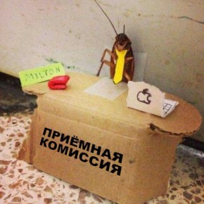 ��������� �������!. � ���� ������: ���������� ��� � ��������� @mashiptashbot ����� ������ ����� �� ����� �������� � ����� (�������� � ����� ��������������), ������ ��� ��� ���������