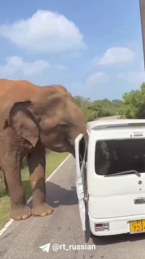 ���� ����� ��������� ���. ������ ����������