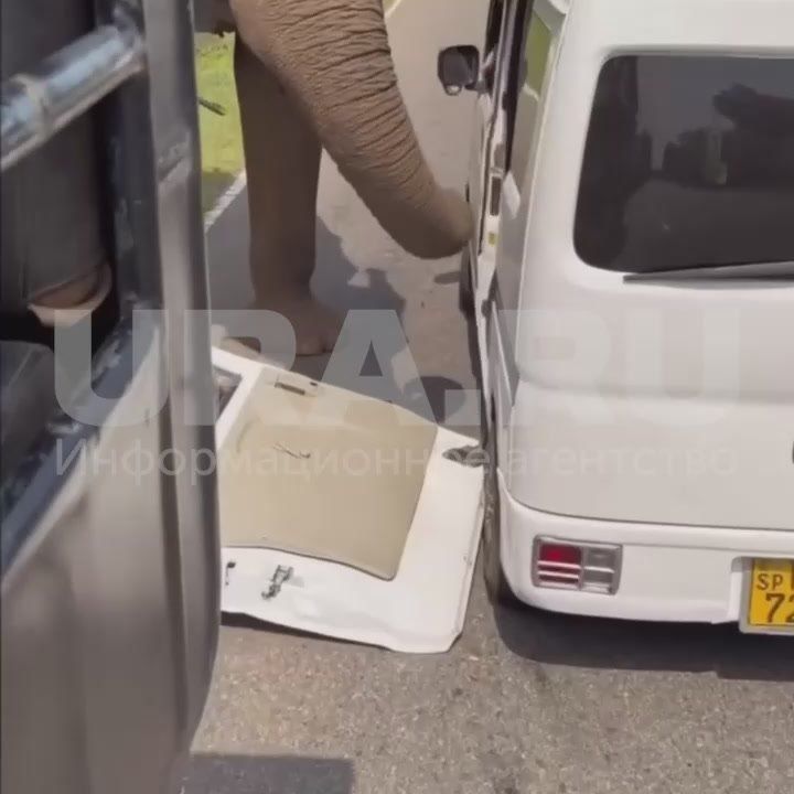 �� ���-����� ����� ���� ����� �� ���������� � ��������� �� ������