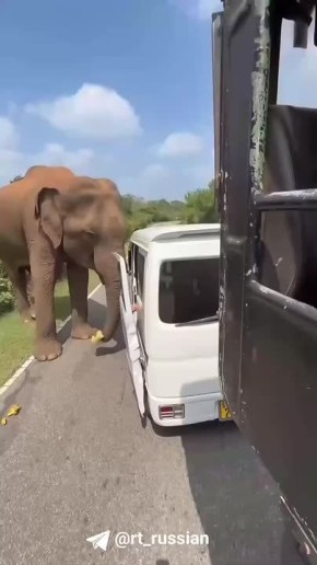 ����� ���� �������� ���������� � ��������� �� ������ �� ���-�����