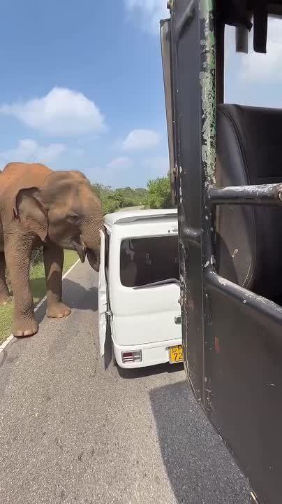 ����� ���� �������� ������ � ��������� �� ������ �� ���-�����