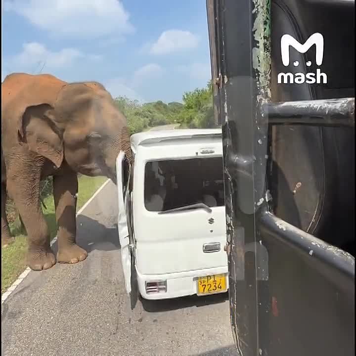 ����� ���� ���� �� ��������� ���������� �������� �� ���-����� � �� ������ ����� � ��������� ����������� ����������, ������ ���� ����� �� ������