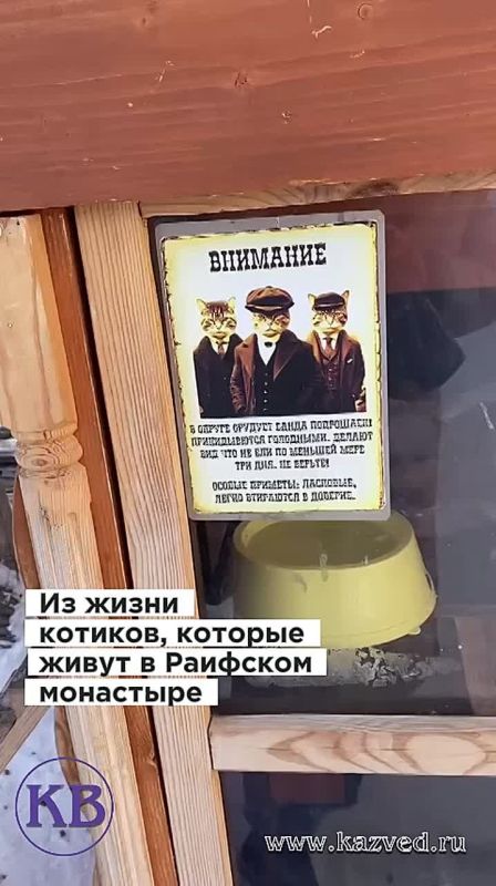 ����� ���������� ����, ��� ����������� �� ���������� ��������� ���������, ������ ����� ���������� �������� ������